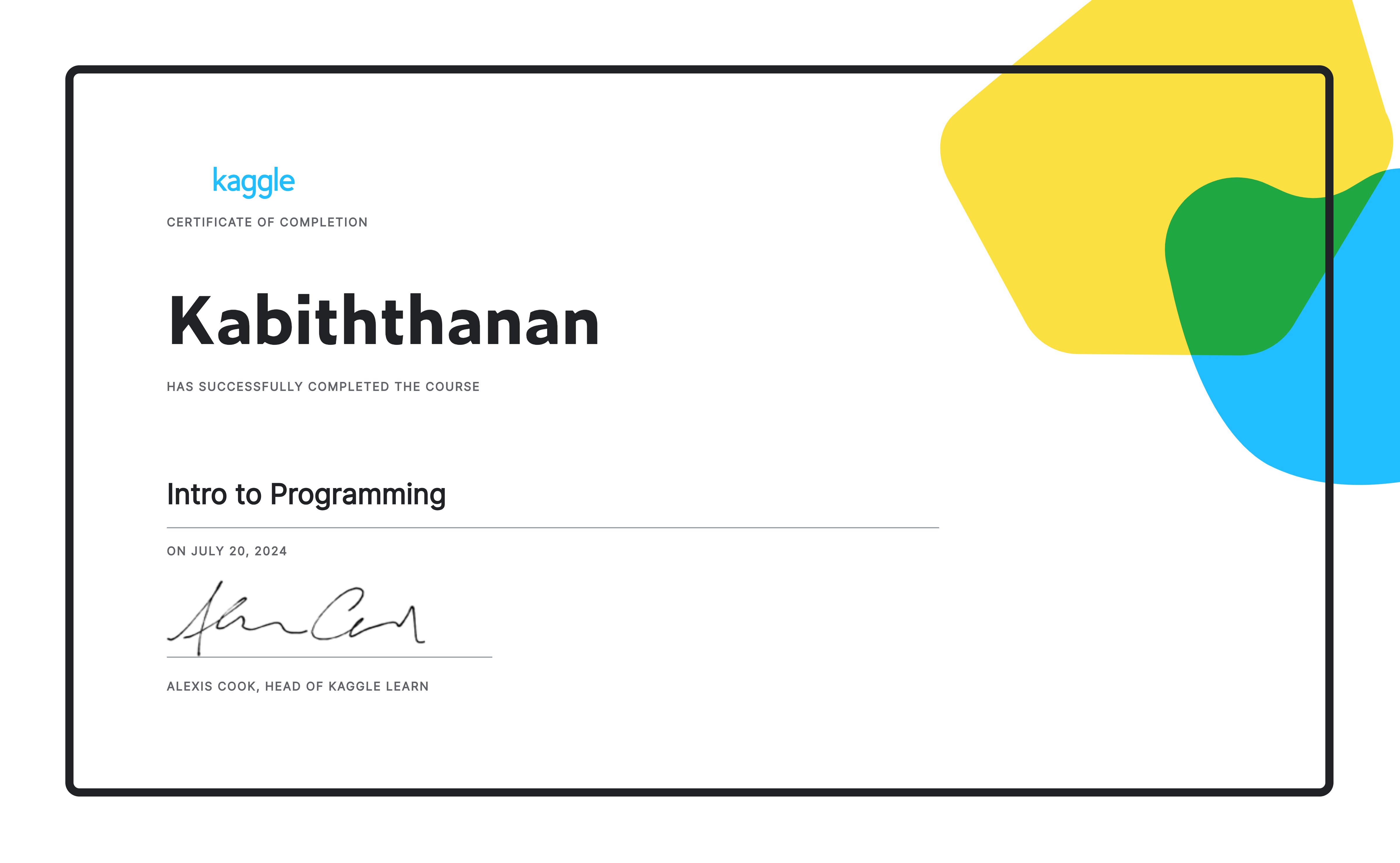 Introduction to Programming certificate
